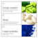 DESTINED FOR DENSITY PEPTIDE CONDITIONER